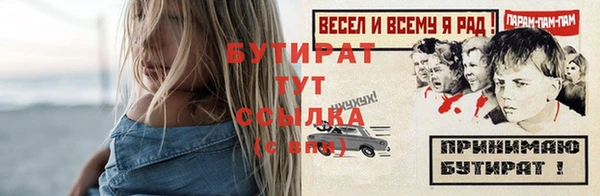 шишки Инсар