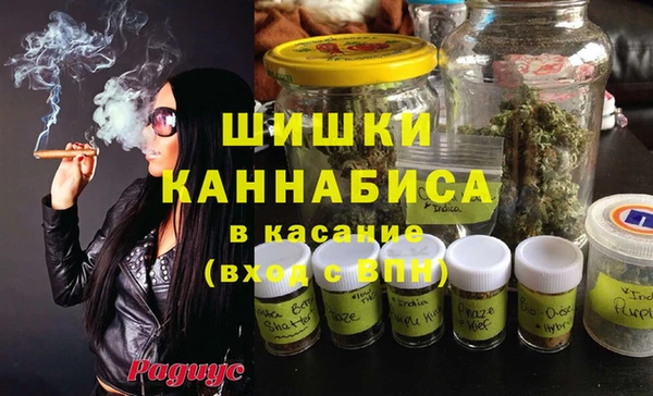 шишки Инсар