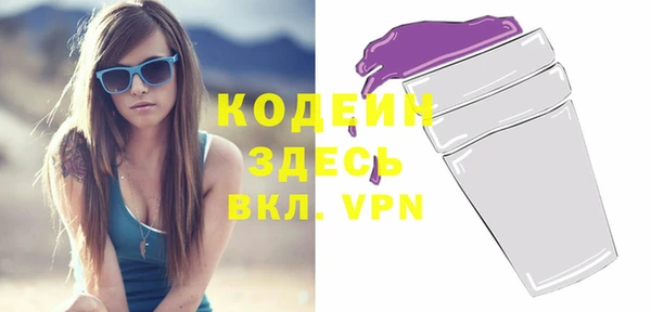 шишки Инсар