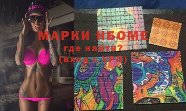 шишки Инсар