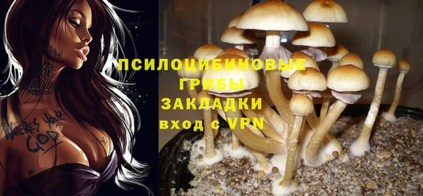 mdma Инта
