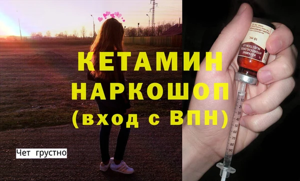 шишки Инсар