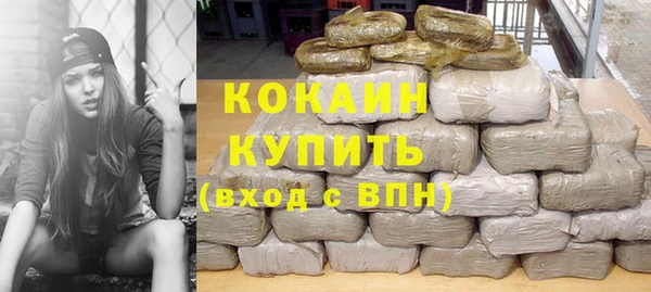 шишки Инсар