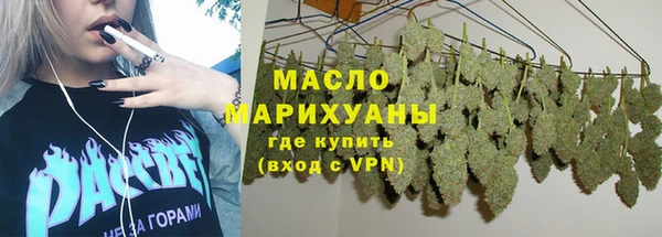 шишки Инсар