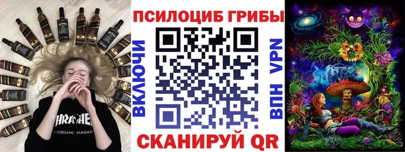Галлюциногенные грибы Psilocybe  Артём 
